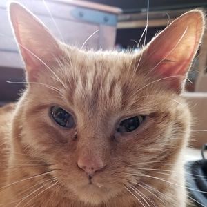 Meet your Posher, Tina